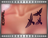 c }Tattoo - Birds Chest