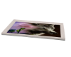 wolf photo