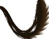 Lucky kitty tail