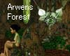 FOREST OF ARWEN