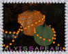 Dark Autumn Pumpkins