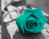 Animated Colorful Rose