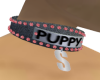 [T] Puppys Collar