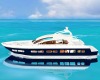 [TA] Luxury Yacht
