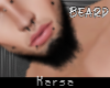 !KA B Long Beard
