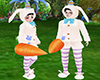 hand medium carrot - F/M