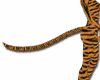 Tiger living tail