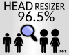 head resizer 96.5 %