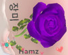 Purple rose in hand