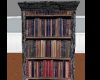 Bark Spell Book Shelf