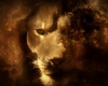 lion HD chill spot