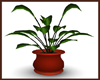Sierra Potted Plant V1