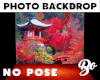 *BO BACKDROP #8