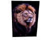 drv lion frame