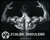 perfect shoulder