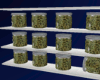 WEED SHELF