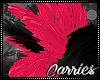 C Burlesque Feathers v2