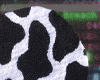 White  cow rug
