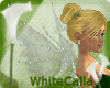 White Fairies Wings