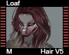Loaf Hair M V5