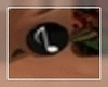 music note`PLUG