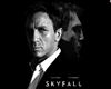 SKYFALL P-2