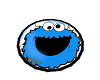 Cookie Monster Rug