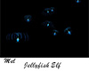 Jellyfish Elf Blue Anim