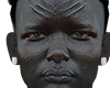 African Asteri: Waboa