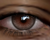 ASTERI REALISTIC EYES