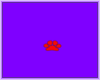 0156 PAW SPOT RED