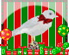 [s] Christmas dove