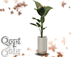 White Vase Modern Plant