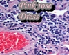 [DRD] Pink Rose Dress