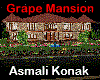 Mansion - Asmali Konak