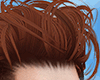 ♛ Rizzo Ginger.