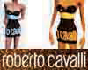 Cavalli's Golden Dress