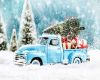 Christmas Tree Truck Pic