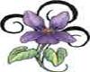 single purple flower