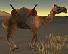 T- Oasis Camel animated