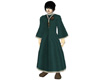 Green Wizard Robes