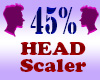 Resizer 45% Head