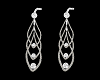 SL Display Earrings