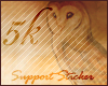 [*] 5k Support