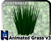 (N) Animated Grass v3