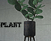 Plant based plant