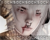 𝒔. addon 091