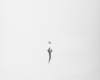 Plat Dangle Ring VZ21FD