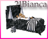 21b-couch/bed bundle