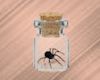 Spider In Jar